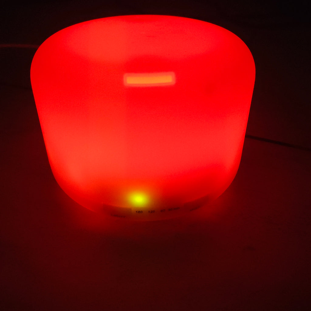 Divine's Fragrance de Essential Oils and Diffuser