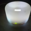 Divine's Fragrance de Essential Oils and Diffuser
